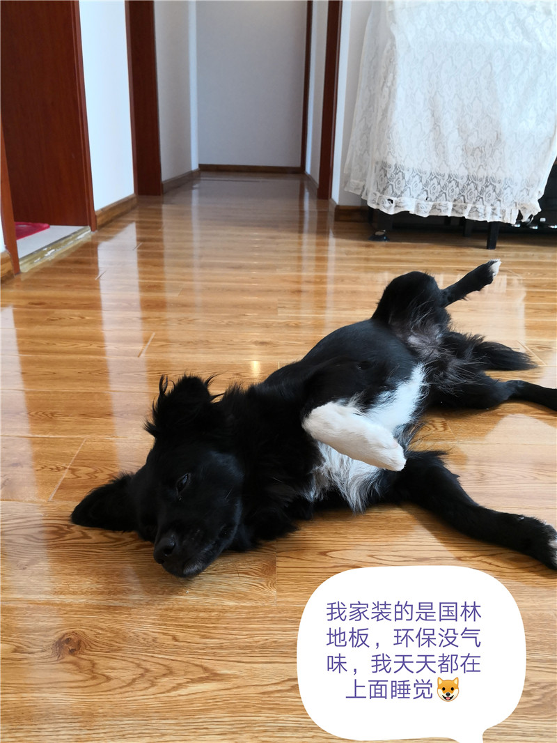 乐鱼官方网站-乐鱼leyu(中国)
